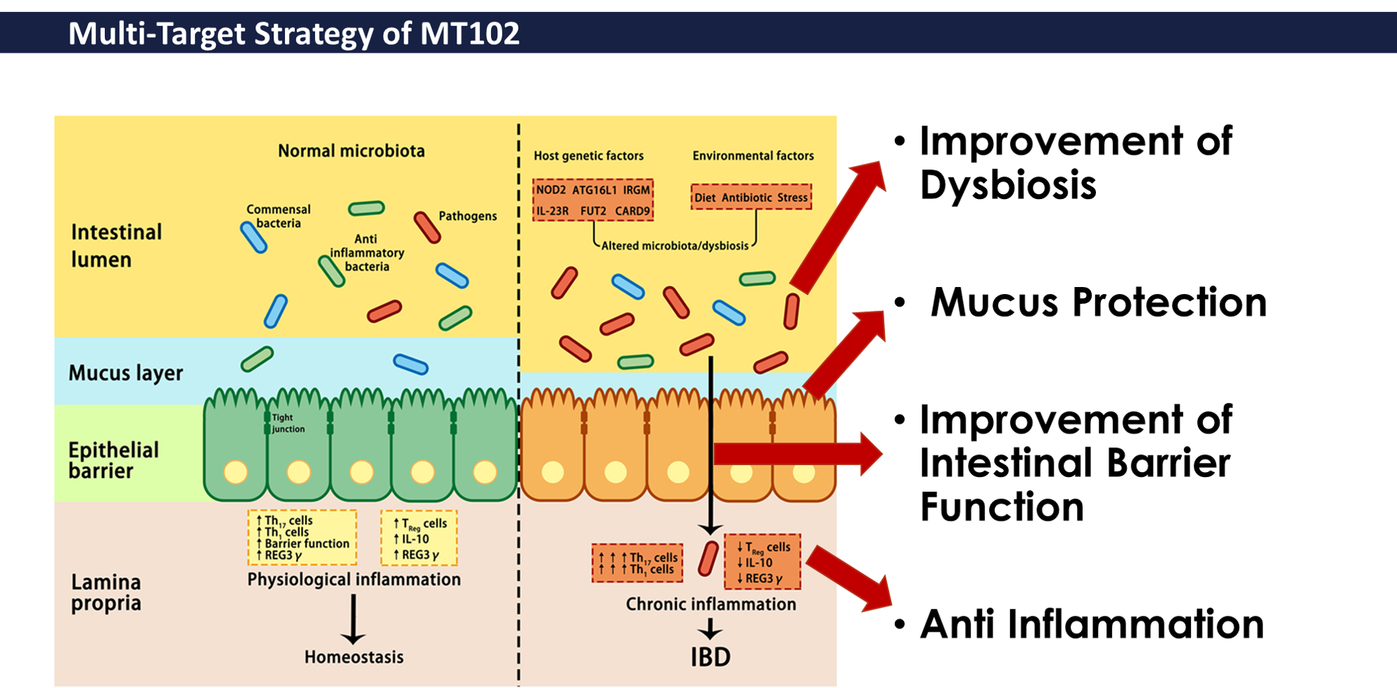 MT102Strategy.png파일