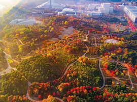 Hanbat Arboretum