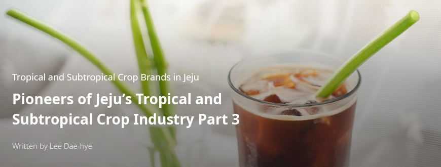 Tropical and Subtropical Crop Brands in Jeju Pioneers of Jeju’s Tropical and Subtropical Crop Industry Part 3 / By Lee Da-hye