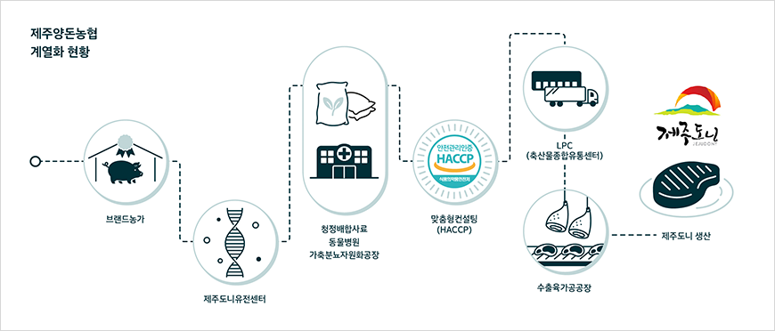 제주양돈농협 계열화 현황