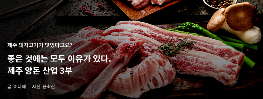 제주 돼지고기가 맛있다고요? 좋은 것에는 모두 이유가 있다. 제주 양돈 산업 3부 / 글:이다혜, 사진:윤소진