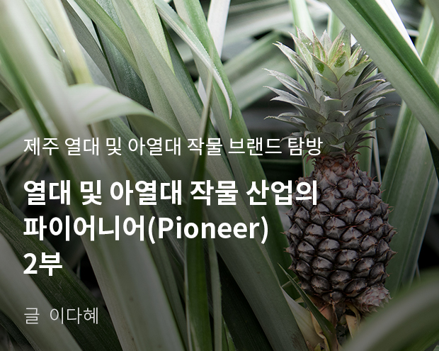 제주 열대 및 아열대 작물 브랜드 탐방 열대 및 아열대 작물 산업의 파이어니어(Pioneer) 2부 / 글:이다혜