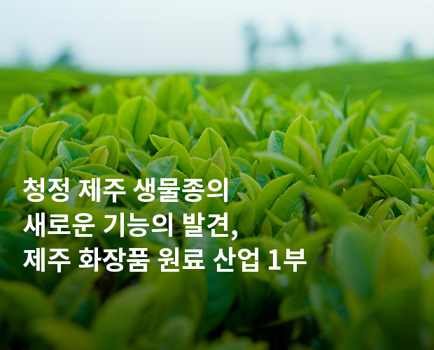 제주 화장품 원료 산업 1부 이미지