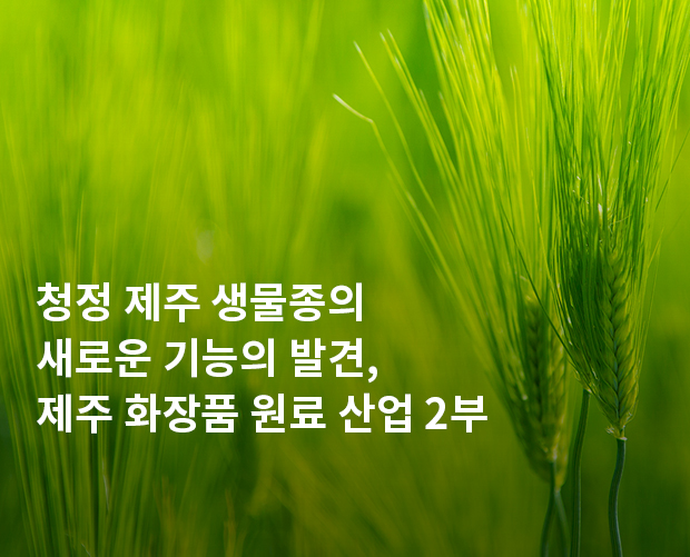 제주 화장품 원료 산업 2부 이미지