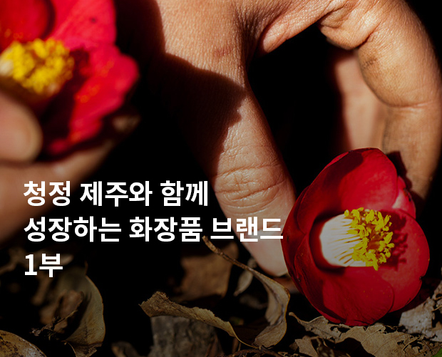 청정 제주와 함께 성장하는 화장품 브랜드 1부 이미지