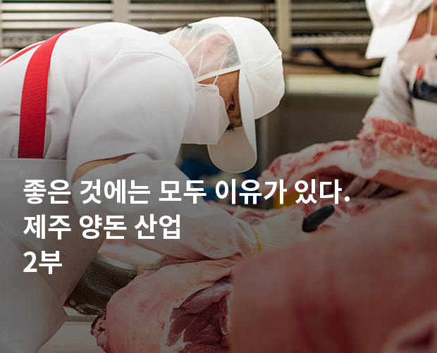 좋은 것에는 모두 이유가 있다. 제주 양돈 산업 2부 이미지