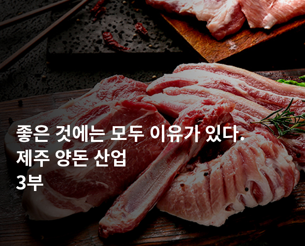 좋은 것에는 모두 이유가 있다. 제주 양돈 산업 3부 이미지