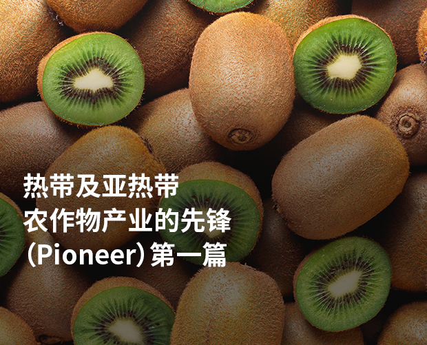 热带及亚热带农作物产业的先锋（Pioneer） 第一篇 图片