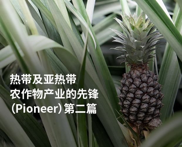 热带及亚热带农作物产业的先锋（Pioneer） 第二篇 图片