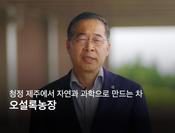 2024청정 제주에서 자연과 과학으로 만드는 차, 오설록농장 이미지